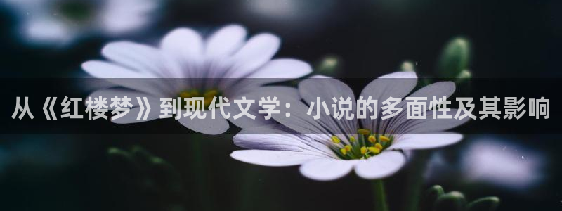 笔趣书阁下载app
