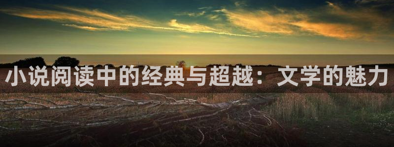 笔趣书阁官网app