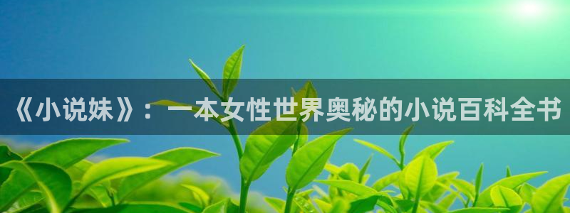 趣书网cc宝书txt