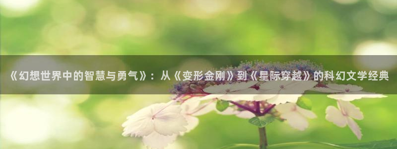 80小说下载网站 免费下载完结趣书网