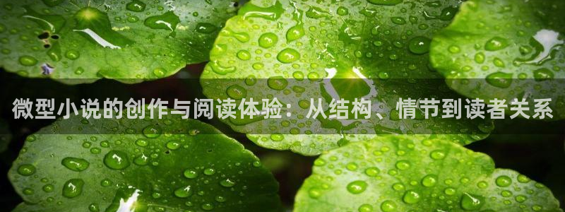 穿成龙族唯一的幼崽txt趣书网