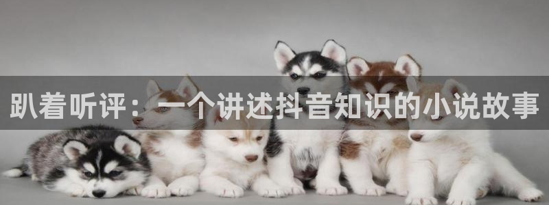 笔趣书阁免费下载app笔趣阁
