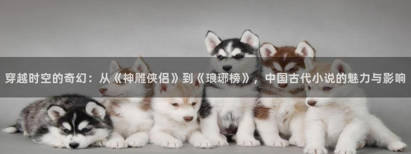 笔趣书阁网